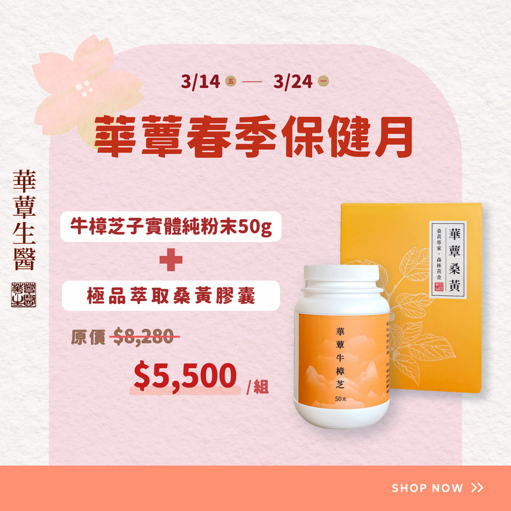 《華蕈春季保健月特惠》極品牛樟芝粉末+桑黃膠囊1盒