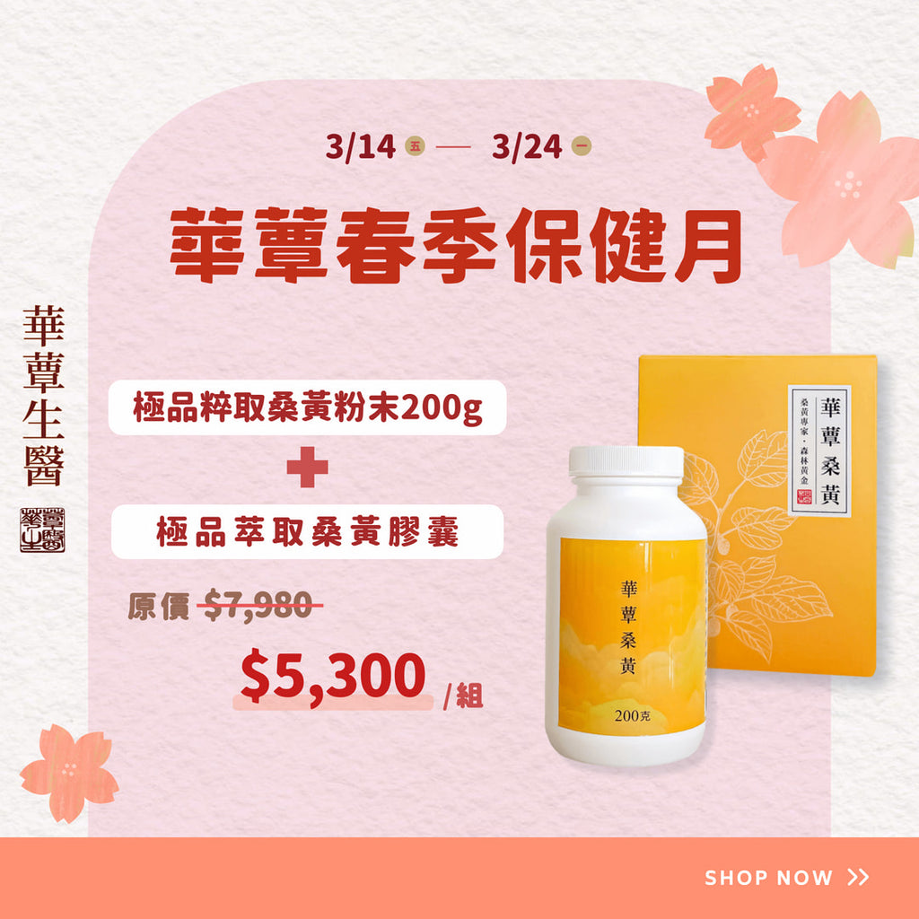 《華蕈春季保健月特惠》極品萃取桑黃粉末+桑黃膠囊1盒