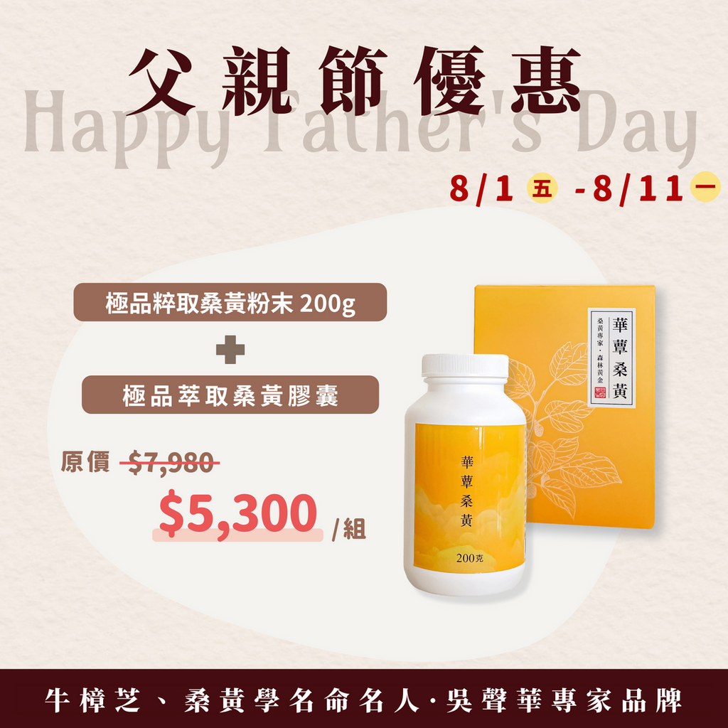 《華蕈父親節特惠》極品萃取桑黃粉末+桑黃膠囊1盒
