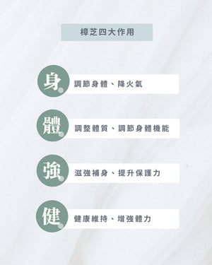 【華蕈生醫】極品牛樟芝純粉末 (50g/瓶)
