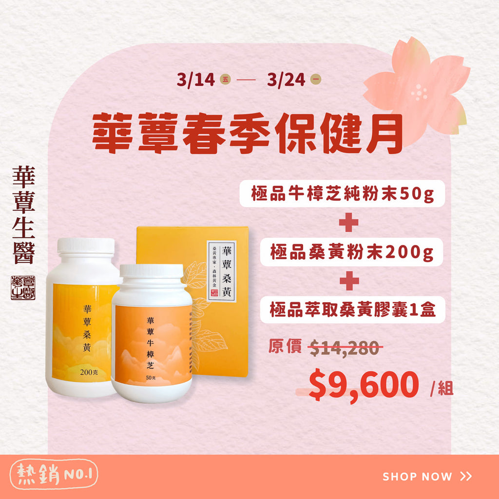 《華蕈春季保健月特惠》極品桑黃粉末+極品牛樟芝粉末+桑黃膠囊1盒