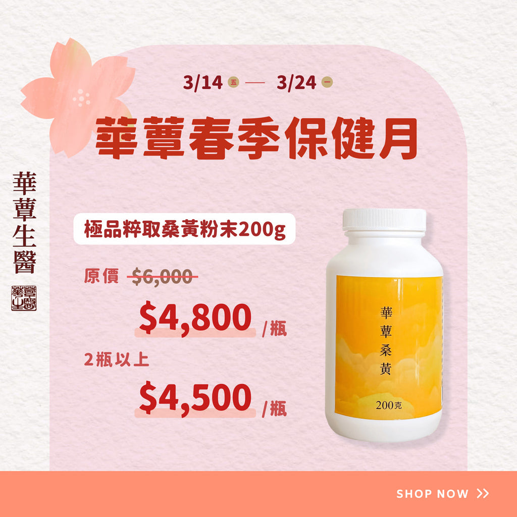 《華蕈春季保健月特惠》極品萃取桑黃-粉末型(200克/瓶)