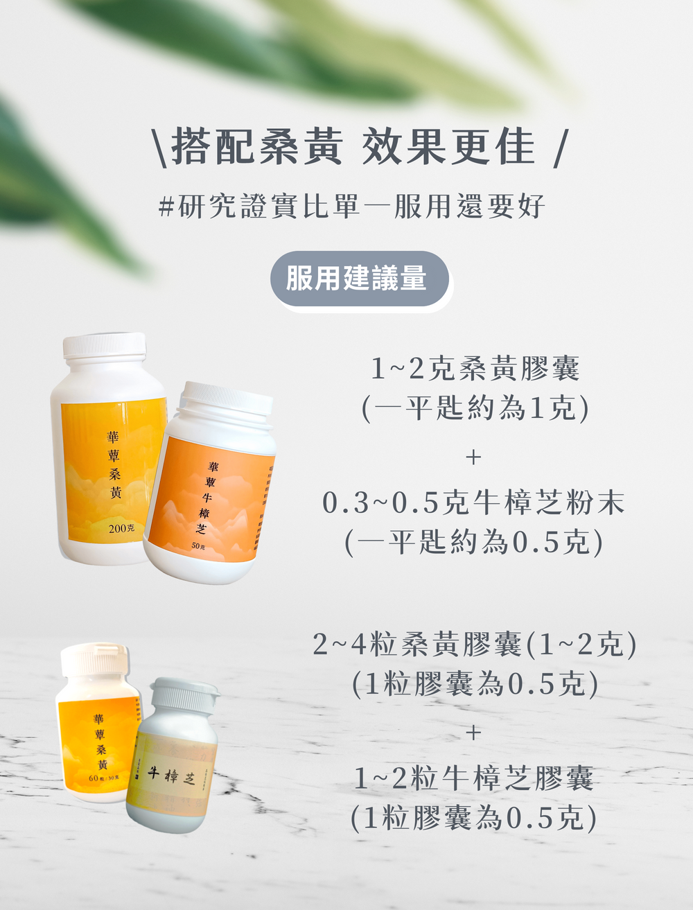 極品牛樟芝膠囊 (60粒/瓶)