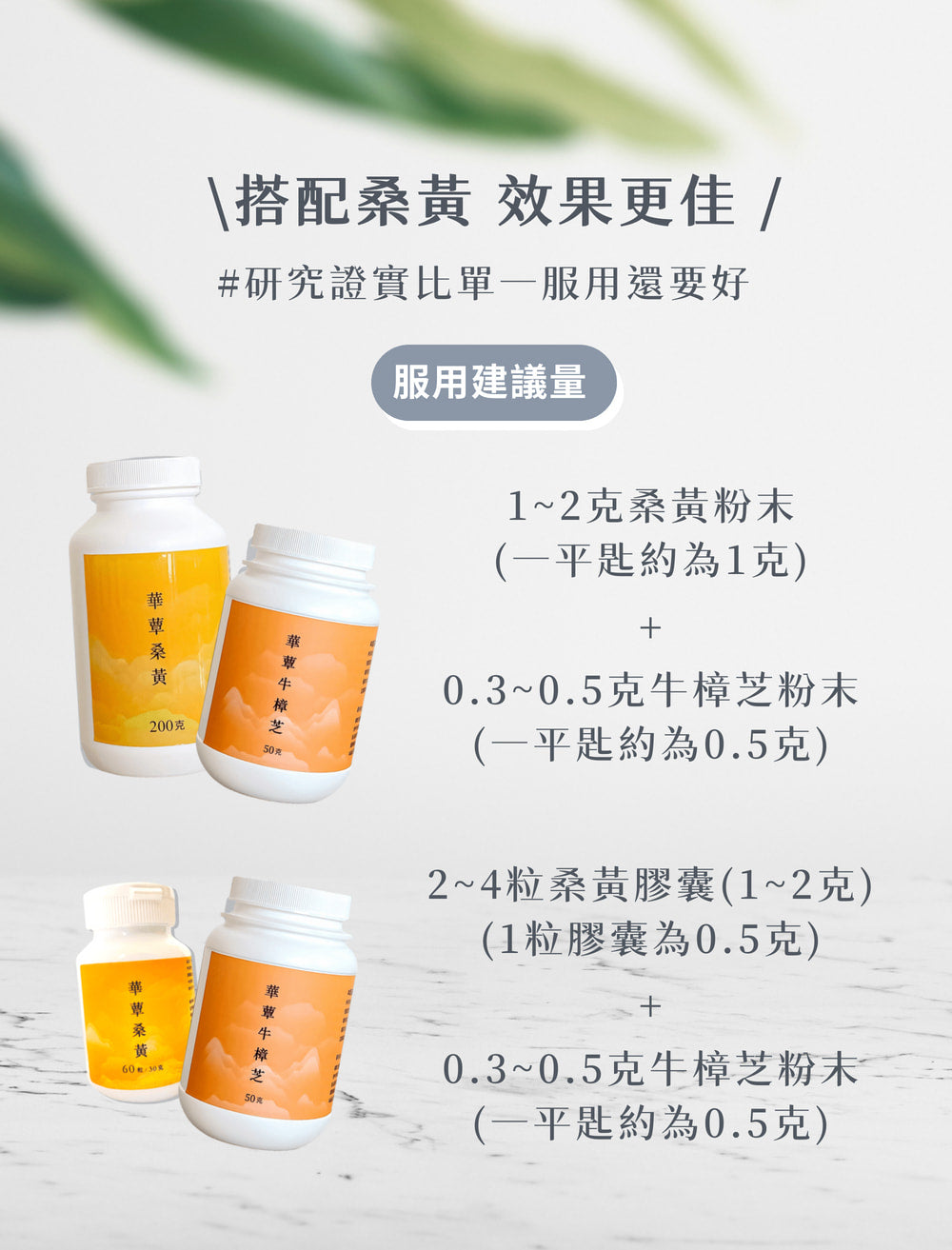 【華蕈生醫】極品牛樟芝純粉末 (50g/瓶)