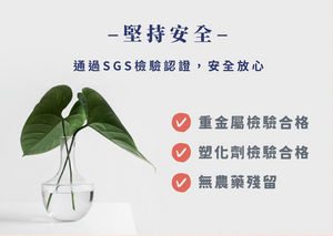 極品牛樟芝膠囊 (60粒/瓶)