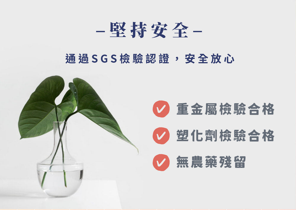 【華蕈生醫】極品牛樟芝純粉末 (50g/瓶)